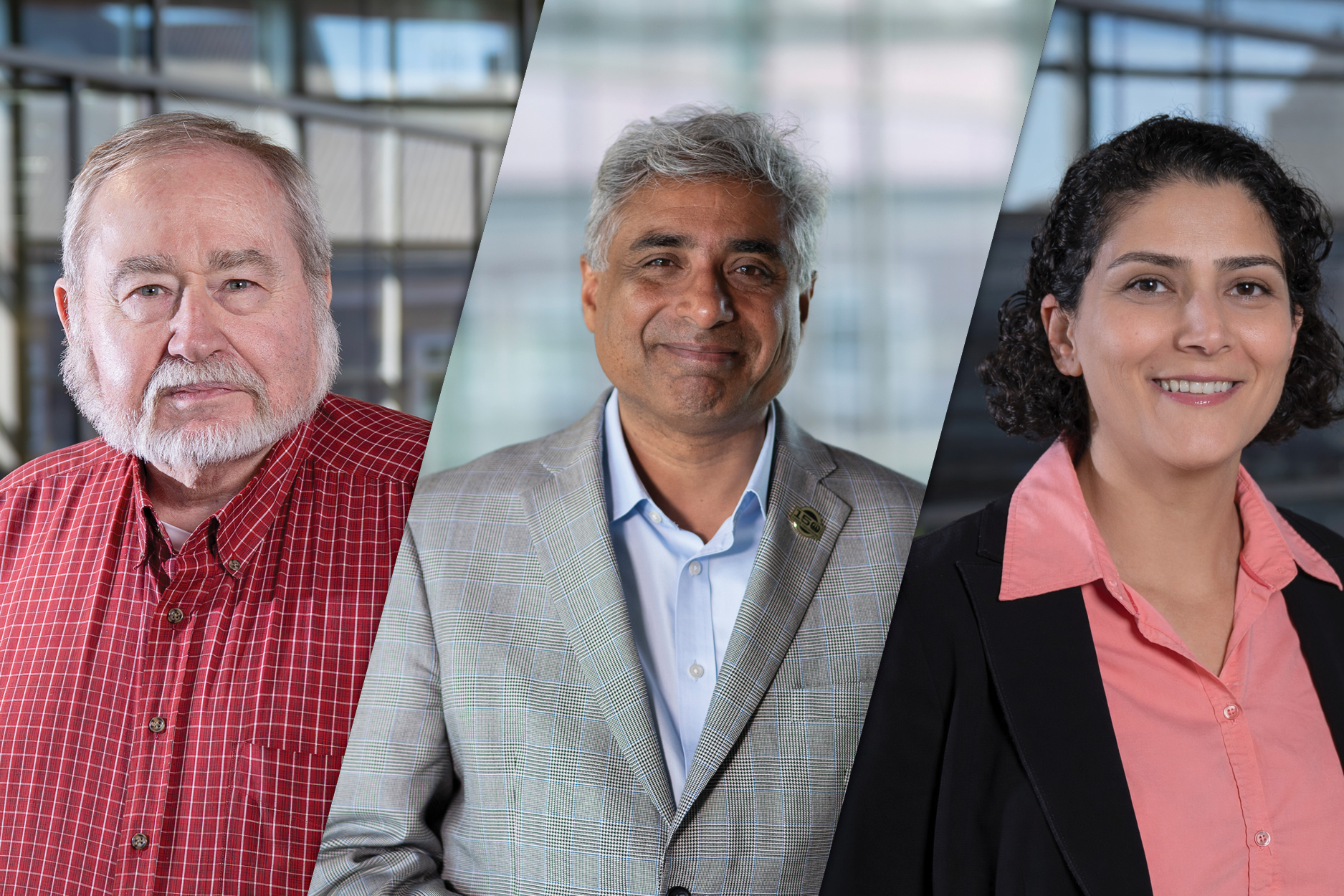 A composite portrait of three Purdue Engineering faculty newly elected as AAAS Fellows. From left to right: Edward J. Delp, an older white man with white hair and a beard wearing a red plaid shirt; Arvind Raman, a middle-aged man with salt-and-pepper hair wearing a gray blazer and light blue dress shirt; and Arezoo Ardekani, a woman with dark curly hair wearing a black blazer and pink top. All three are photographed against a blurred modern building interior.