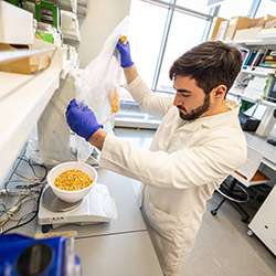 Agricultural and Biological