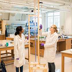 Environmental and Ecological