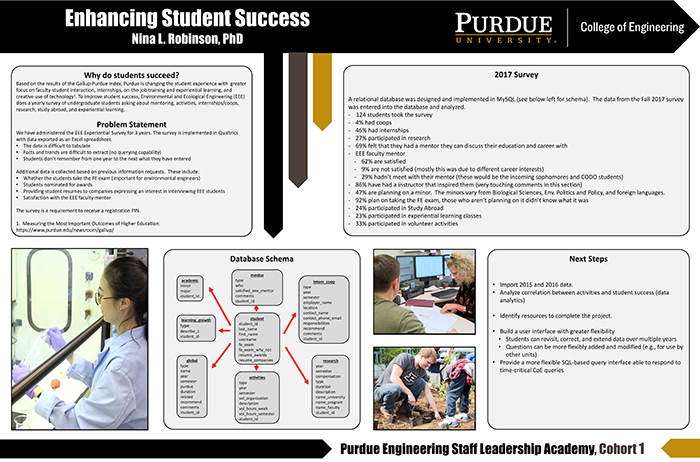 Nina Robinson's Project visual