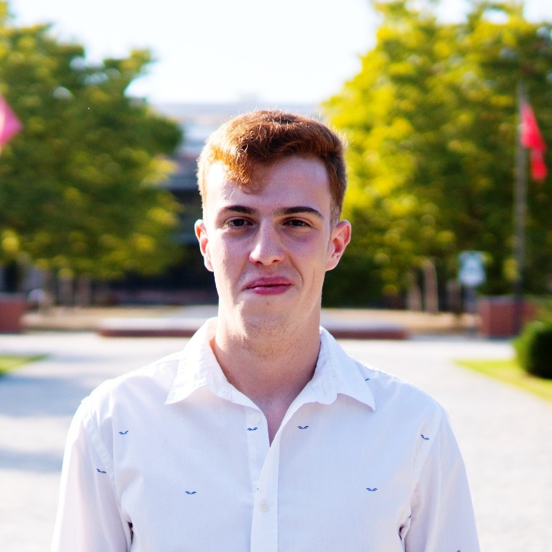 Undergraduate Student