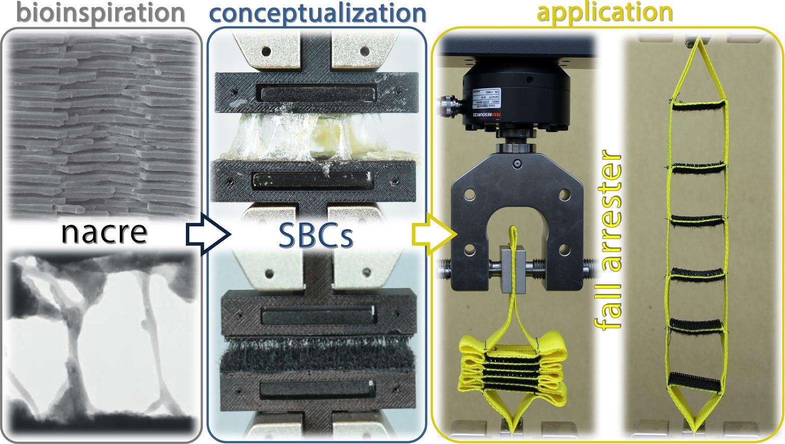 Table of contents image for Cross-scale design of energy dissipative composites using self-repairing interfaces based on sacrificial bonds.