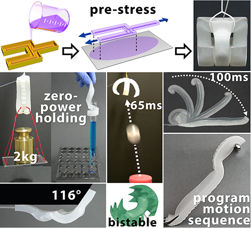 Table of contents image for Elastic Energy Storage Enables Rapid and Programmable Actuation in Soft Machines.