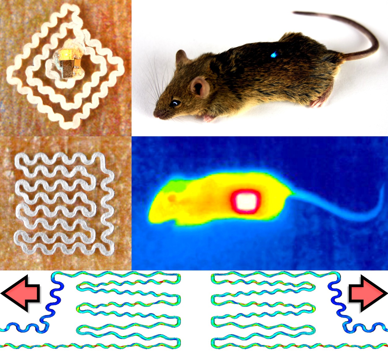 Table of contents image for Wearable and Implantable Epidermal Paper-based Electronics.