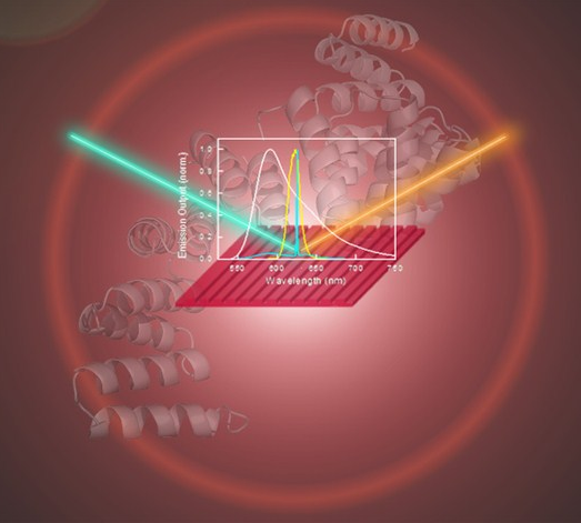 Table of contents image for Engineered protein-based functional nanopatterned materials for bio-optical devices.