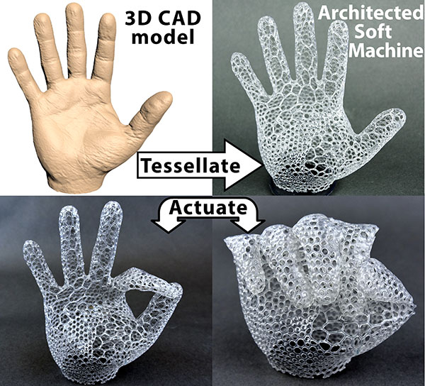 Table of contents image for 3D-Architected Soft Machines with Topologically Encoded Motion.