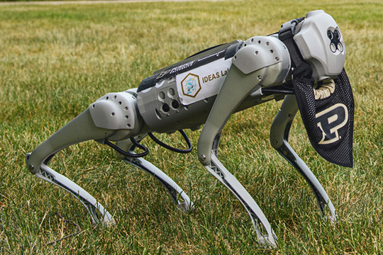 Robot dog with Purdue scarf
