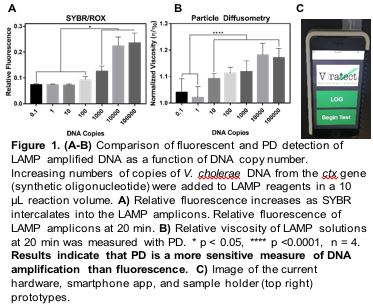 Charts and Graphs from the project