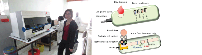 images of the process
