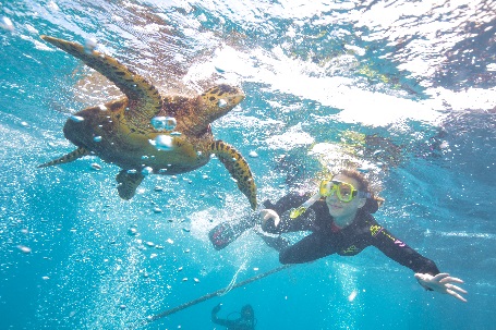 Swimming with a sea turtle