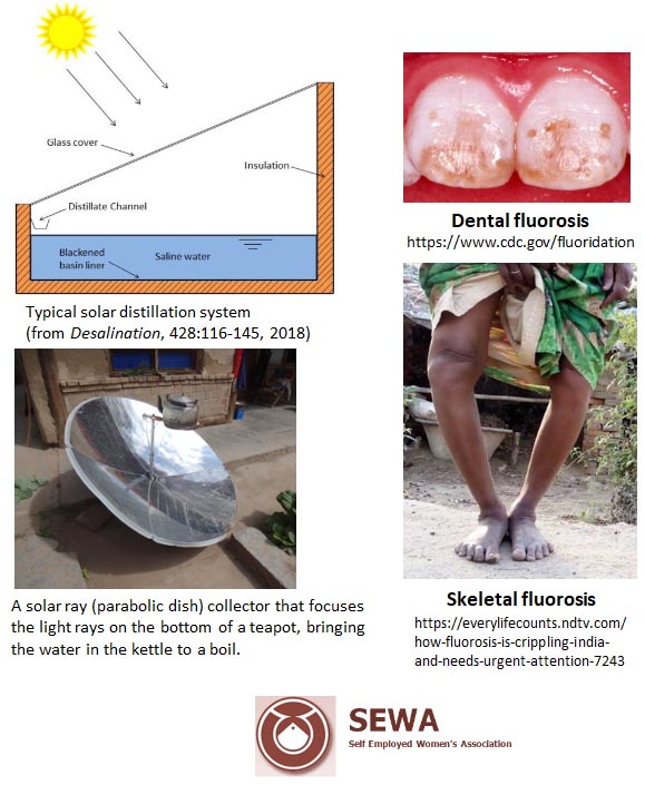 Collage of pictures related to safe collection of water, the dental and muscular issues that happen with bad water and the SEWA logo