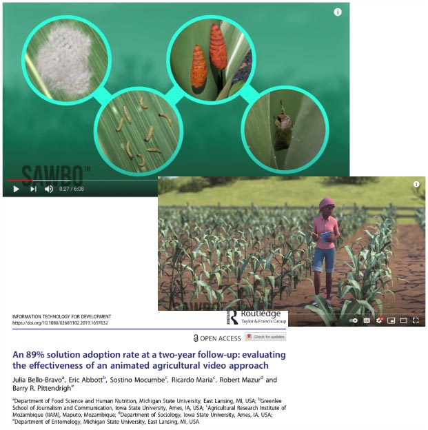 Collage of the life cycle of the Fall Armyworm, a field, and a research article titled: An 89% solution adoption rate at a two-year-follow-up; evaluating the effectiveness of an animated agricultural video approach