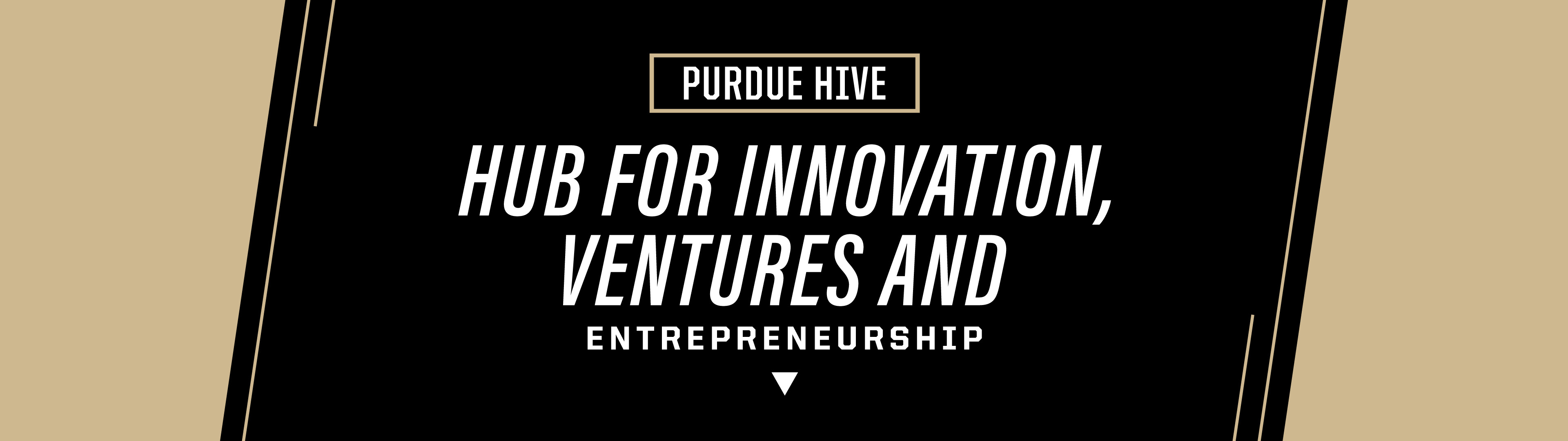 Purdue HIVE