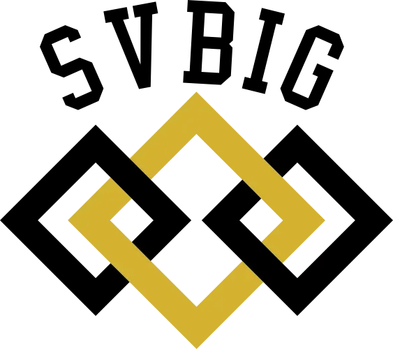 SVBIG