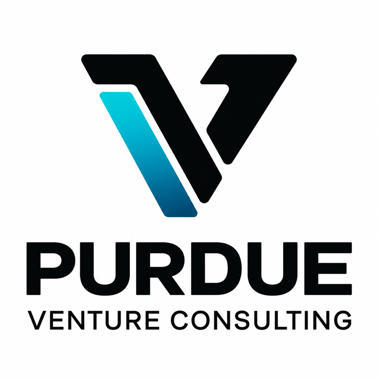 Purdue Venture Consulting