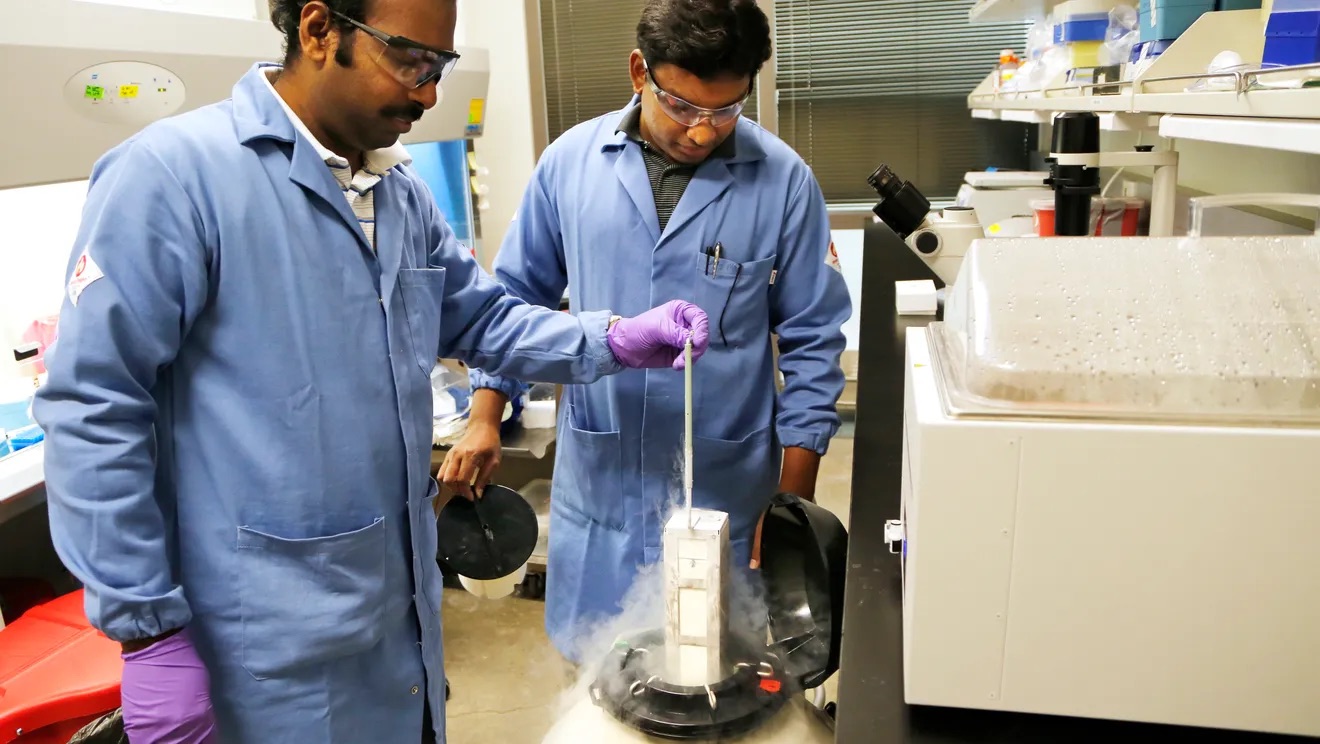 Research Focus Image