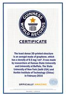 Photo of GUINNESS WORLD RECORDS certificate
