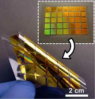 Photo of flexible plasmonics