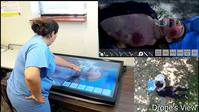 Photo of ISAT Lab member using STAR technology