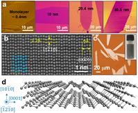 Grphic of solution-manufactured 2D tellurene