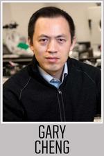 Gary Cheng
