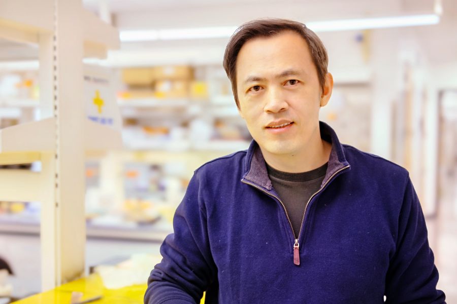 Photo of Professor of Industrial Engineering, Gary Cheng