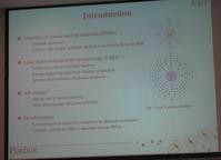 Patrick Skrodzki - Presentation Slide