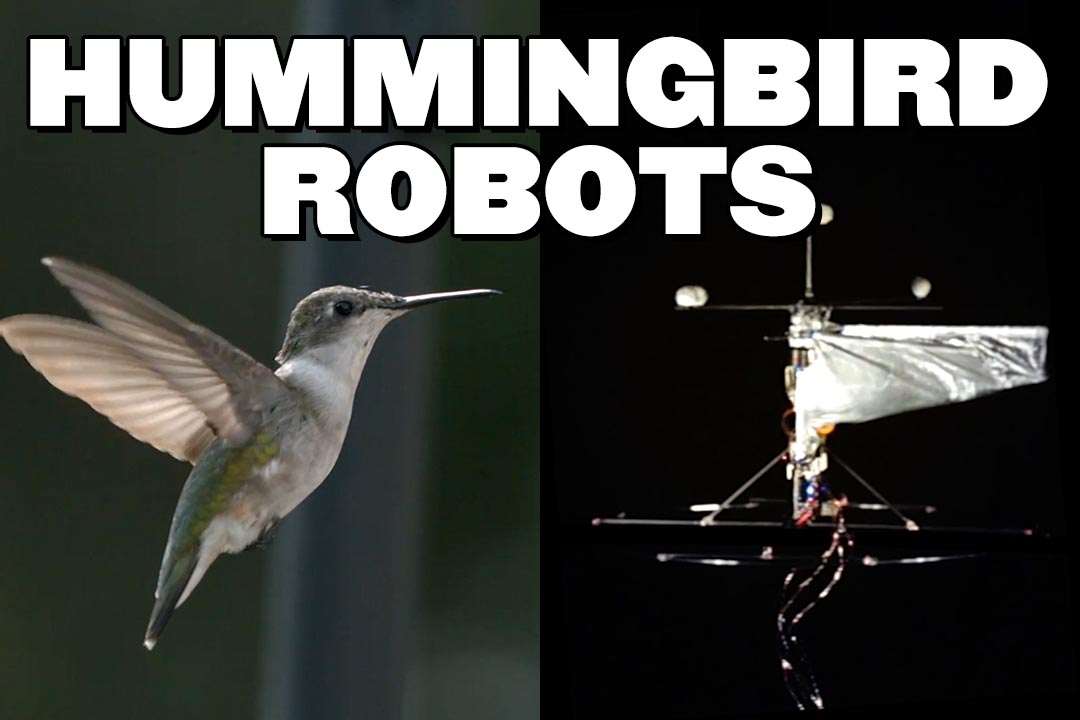 Hummingbird Robots