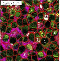 Mapping of Electrical Polarization in 3D