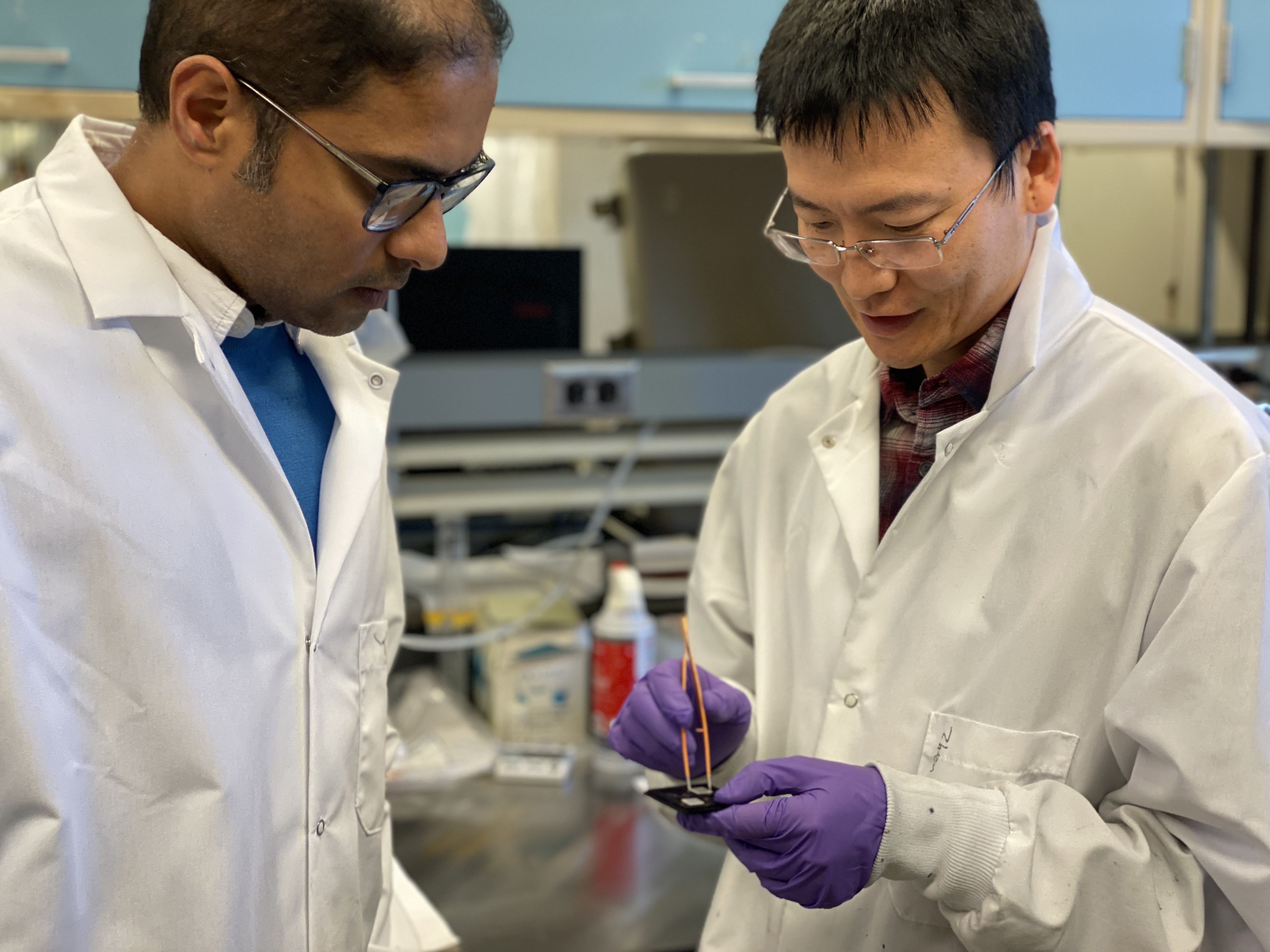 Professor Shriram Ramanathan and post-doc research assistant, Zhen Zhang.