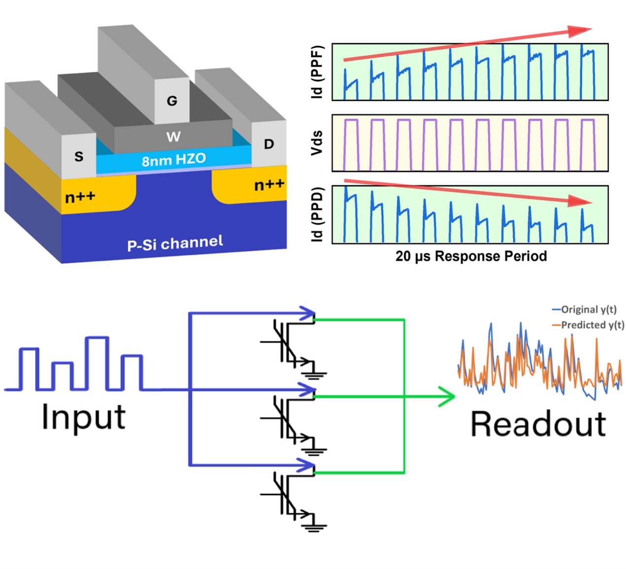 Scientific illustration showing the operation of a transistor with both long-term and short-term memory effects, demonstrating how input signals are processed for energy-efficient artificial intelligence applications.