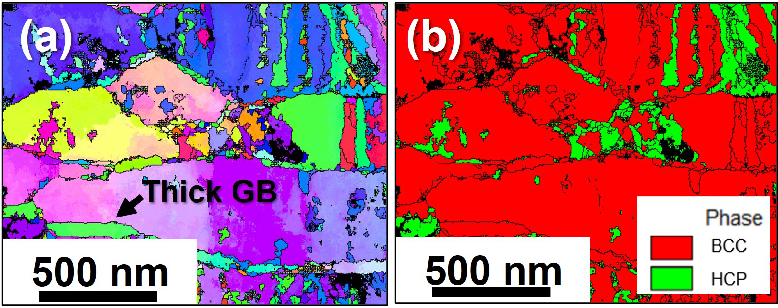 (a) Inverse Pole Figure mapping reveals substantial grain restructuring and thickened grain boundaries following irradiation. (b) Phase mapping identifies regions of the normal BCC tungsten structure (red) alongside localized HCP-like regions (green).