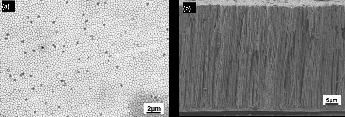 Figure 1: FESEM  image of Bi2Te3 nanowire array composite