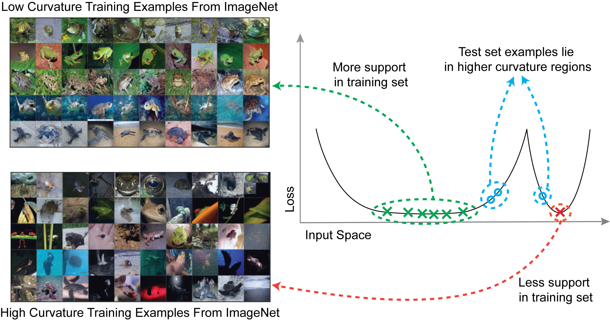 Curvature analysis results