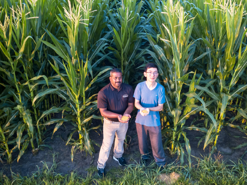 AGRICULTURAL ENGINEERING