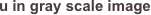 u in gray scale image