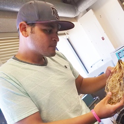 Alfredo Delgado profile picture