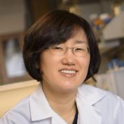 Photo of Yoon Yeo, Associate Department Head and Associate Professor of Industrial and Physical Pharmacy