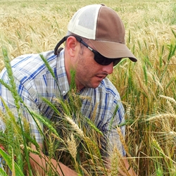 Sean Thompson profile picture