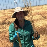 Tessa Ries profile picture