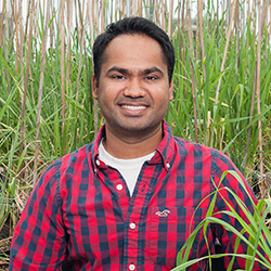 Narinder Singh profile picture