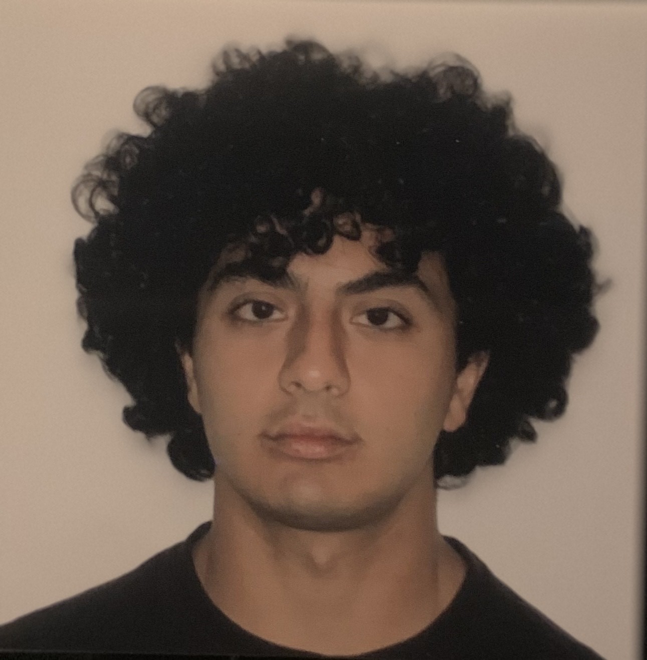 Seyed Kiarash Mossalaei