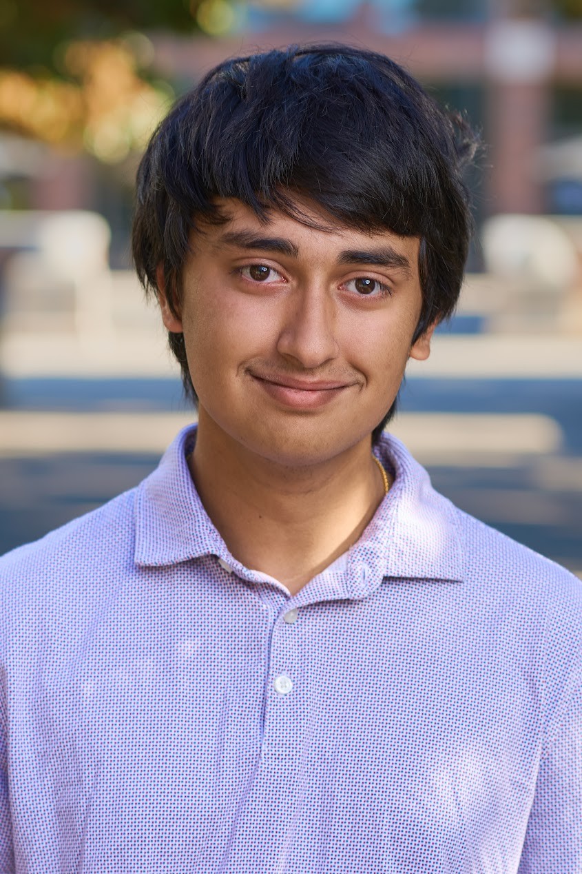 Portrait of Sahil Mitra