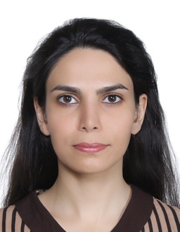 Elham  Saberian 