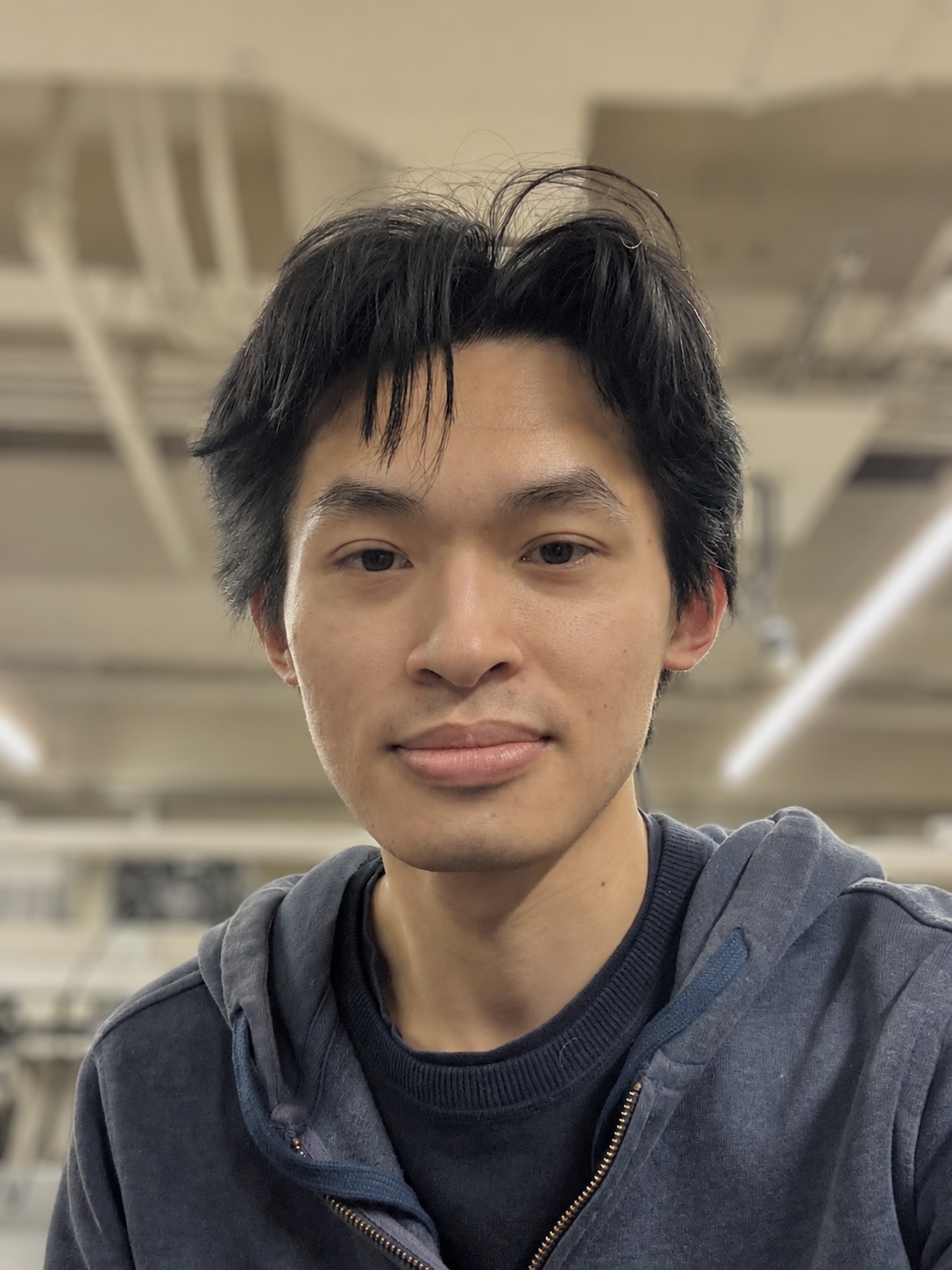 Avery  Chan 