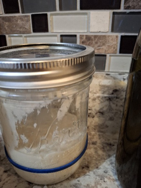 Sour Dough Starter 