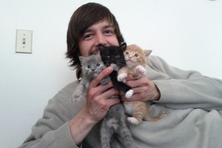 Kittens Greybeard, Clarence, and Dougie pictured with Lindsey's husband Mark