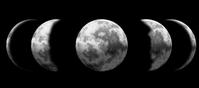 moon_phases