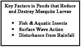 Text Box: Key Factors in Ponds that Reduce and Destroy Mosquito Larvae

	Fish & Aquatic Insects
	Surface Wave Action
	Disturbance from Rainfall

