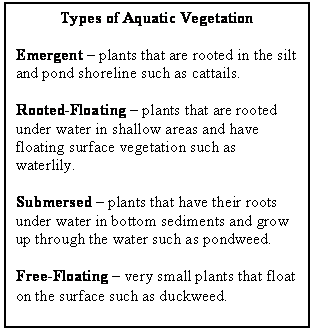 Text Box: Types of Aquatic Vegetation

Emergent  plants that are rooted in the silt and pond shoreline such as cattails.

Rooted-Floating  plants that are rooted under water in shallow areas and have floating surface vegetation such as waterlily.

Submersed  plants that have their roots under water in bottom sediments and grow up through the water such as pondweed.

Free-Floating  very small plants that float on the surface such as duckweed.

